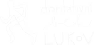 Charitativní běh Lukov